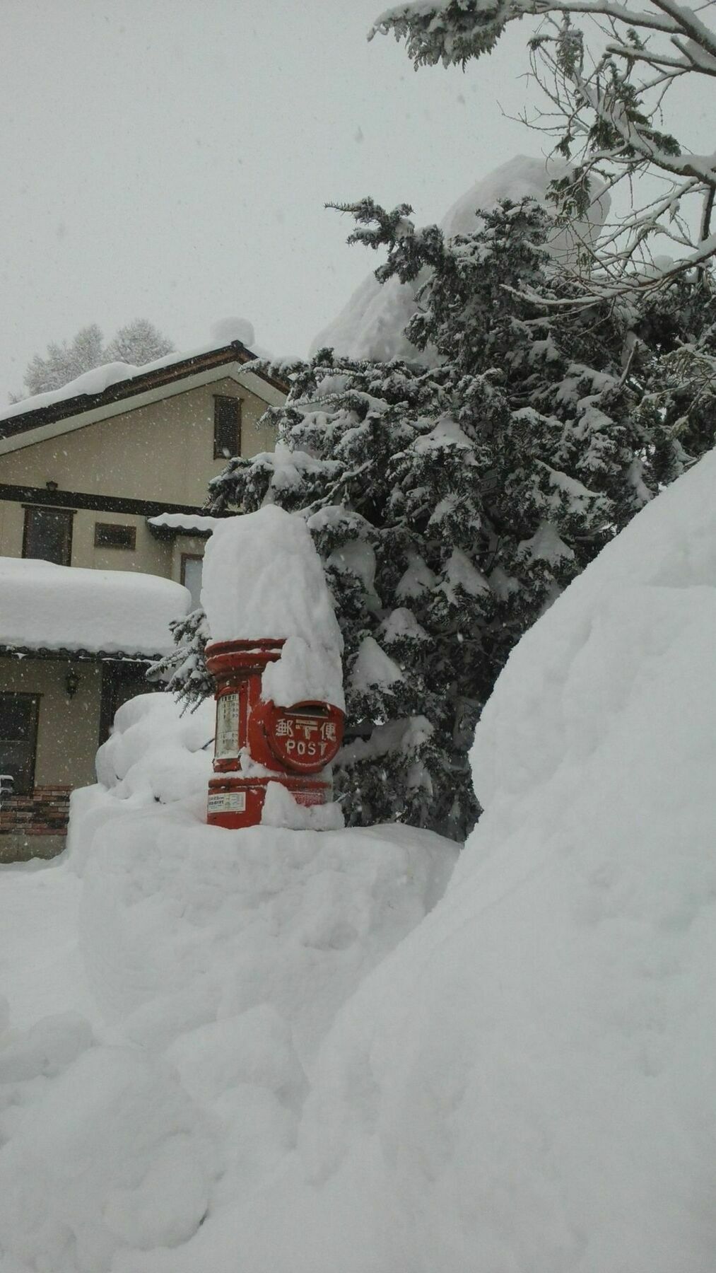 Sakka Sanso Villa Hakuba Luaran gambar